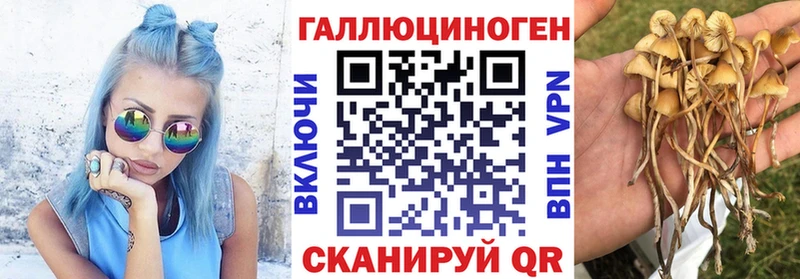Псилоцибиновые грибы мухоморы блэк спрут tor Ермолино