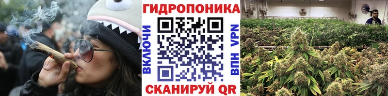 Конопля планчик  ОМГ ОМГ как зайти  Ермолино 